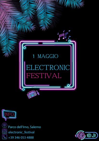 Electronic Festival